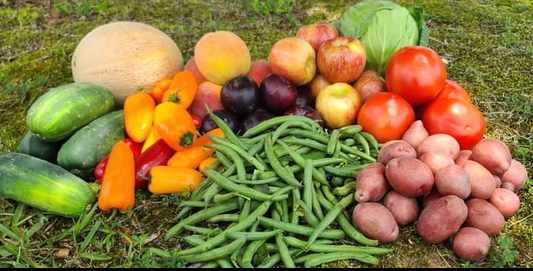 Double Bountiful Box